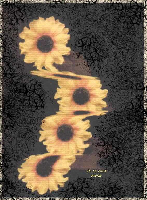 blühende verzerrungen 2 foto illusion 171005 grafik